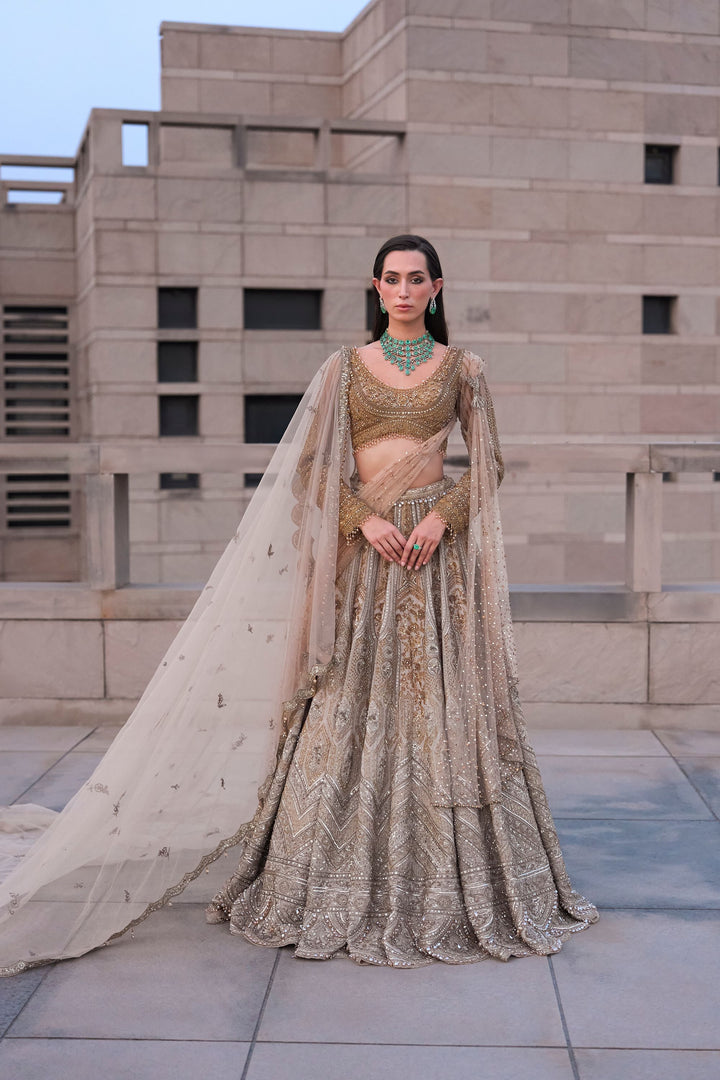 Astraea Gold Silver Lehenga