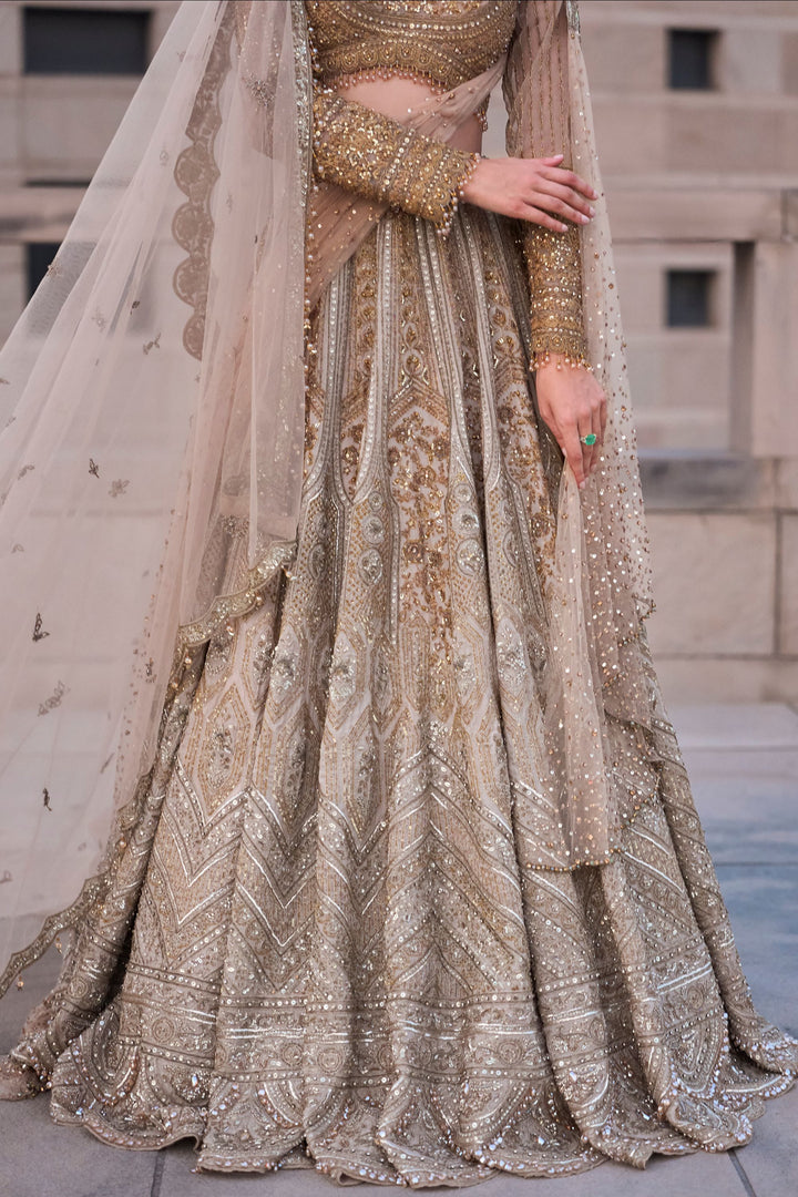 Astraea Gold Silver Lehenga