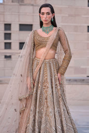 Astraea Gold Silver Lehenga