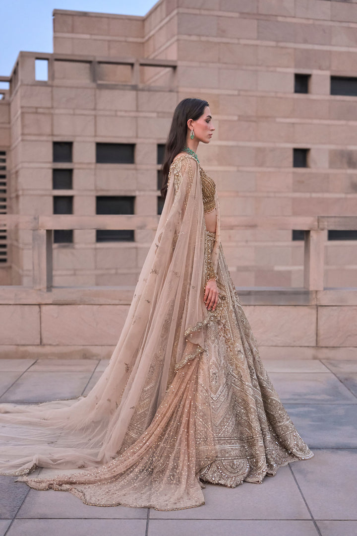 Astraea Gold Silver Lehenga