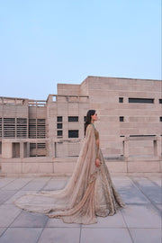 Astraea Gold Silver Lehenga