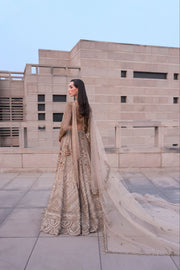 Astraea Gold Silver Lehenga